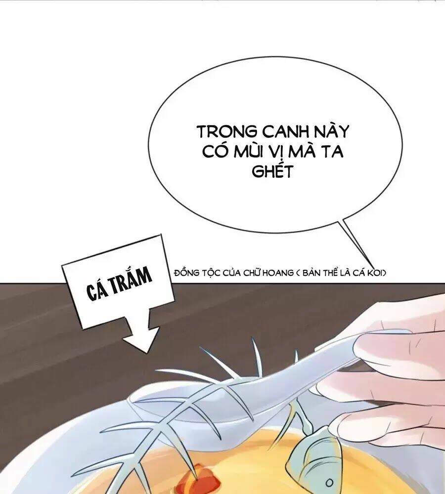 Yêu Long Đại Nhân Của Ta: Chapter 3