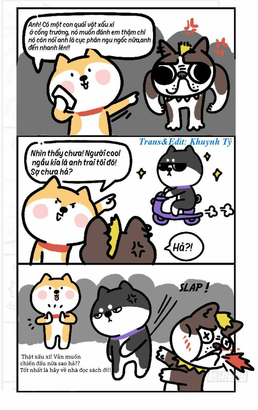 Anh Em Shiba: Chapter 3