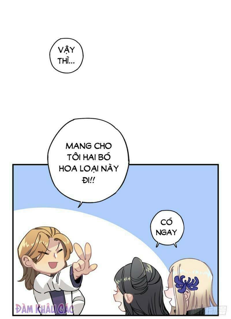 Hắc Bạch Hữu Thường: Chapter 11