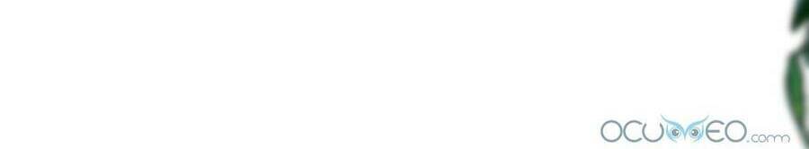 Lòng Trung Thành Với Kẻ Ác: Chapter 1