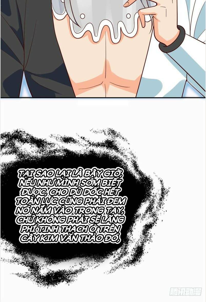 Chí Tôn Trọng Sinh: Chapter 210