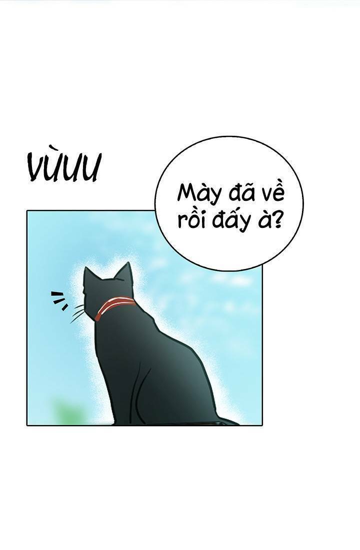 Cô Dâu Của Miêu Hoàng Tử: Chapter 4