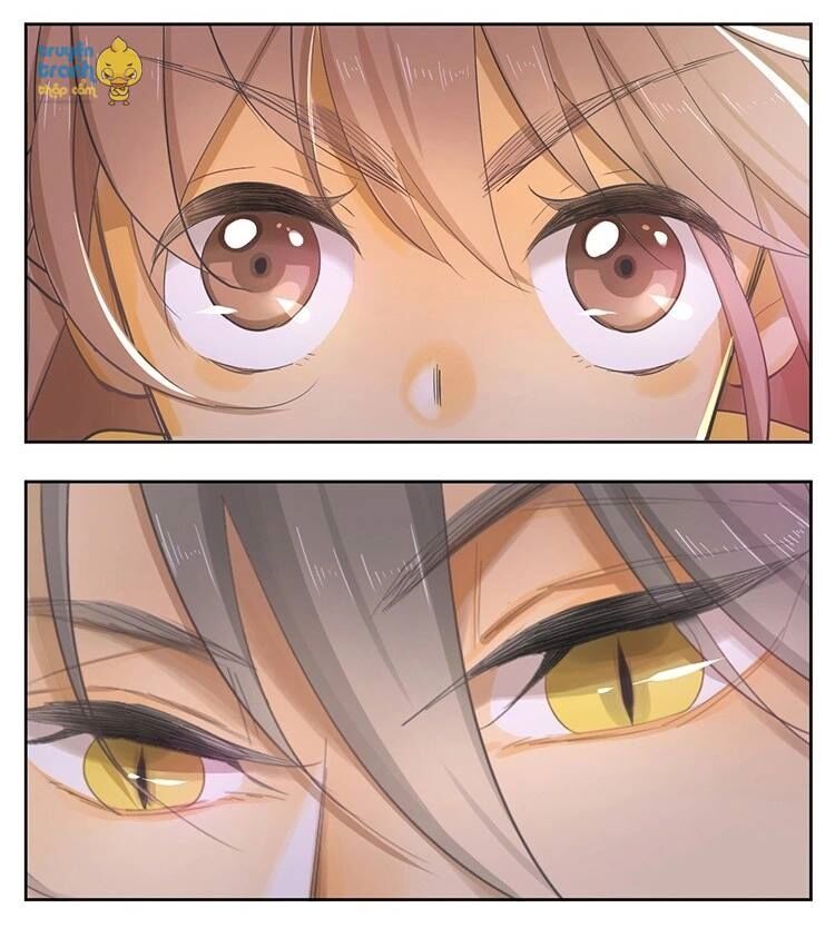 Cứu mạng ! Loài mèo thống trị thế giới rồi !: Chapter 21