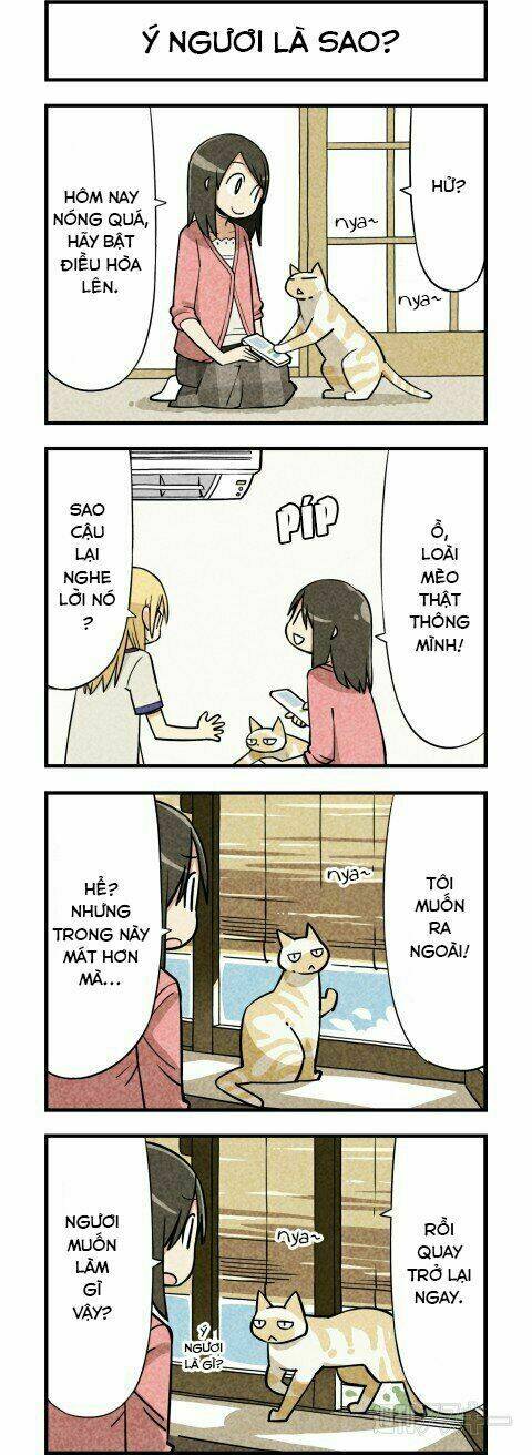 We Are Cat: Chapter 4