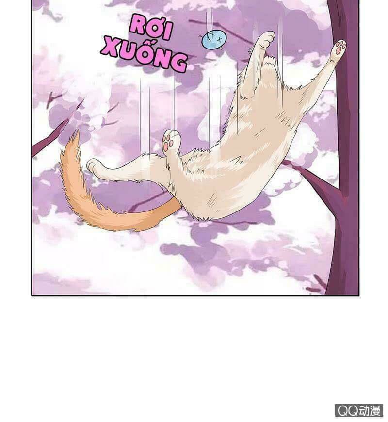 Băng Sơn Học Trưởng Không Được Chọc: Chapter 53.1