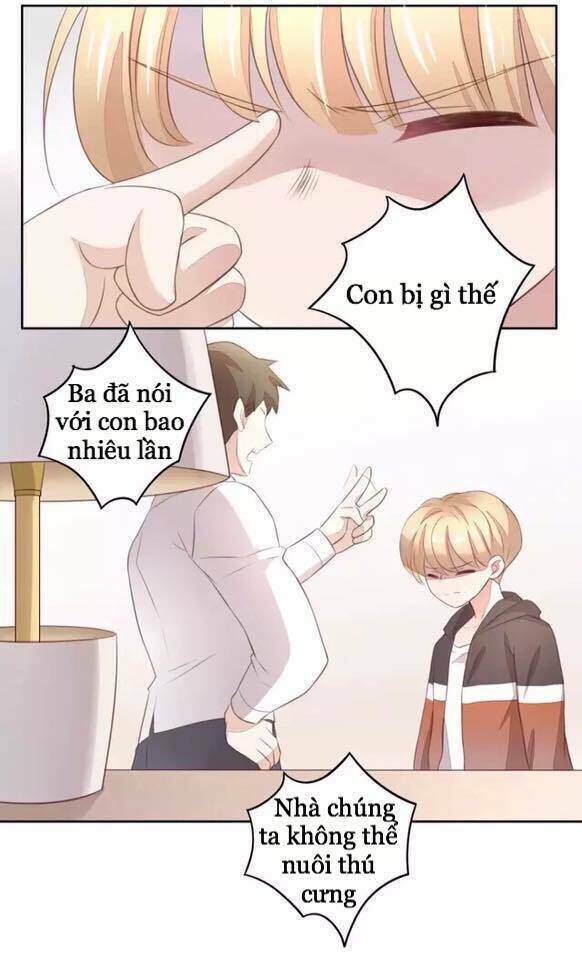 Dưới Móng Vuốt Mèo: Chapter 20