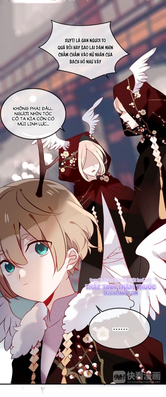 Ngô hoàng tại thượng: Chapter 65