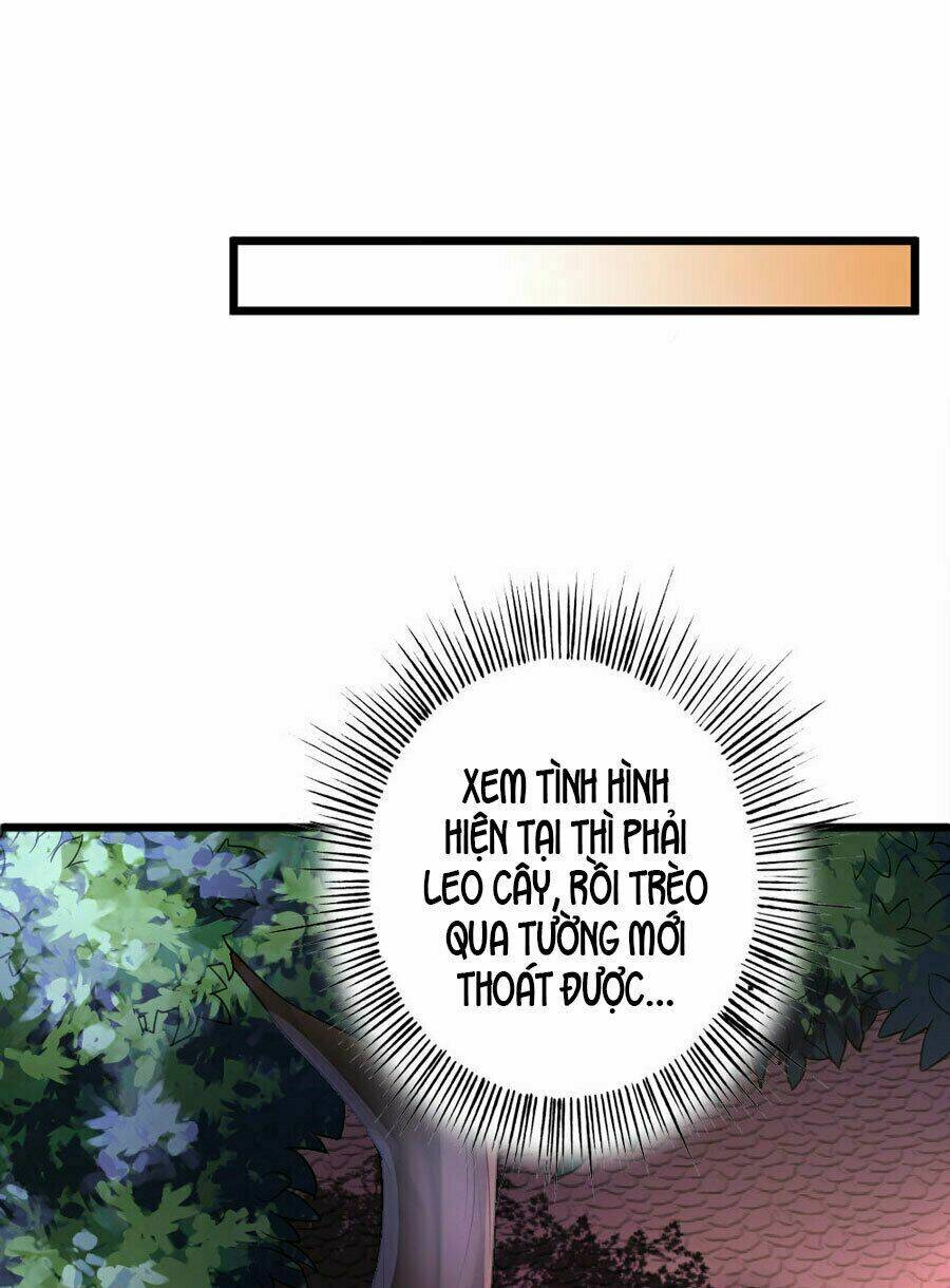 Tiểu Bạch Điềm Thê Của Long Thiếu: Chapter 8