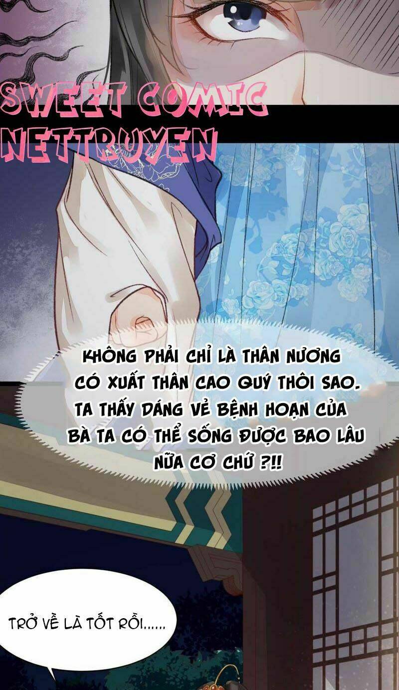 Thịnh Sủng Kiều Nữ Trở Về Triều Ca: Chapter 7