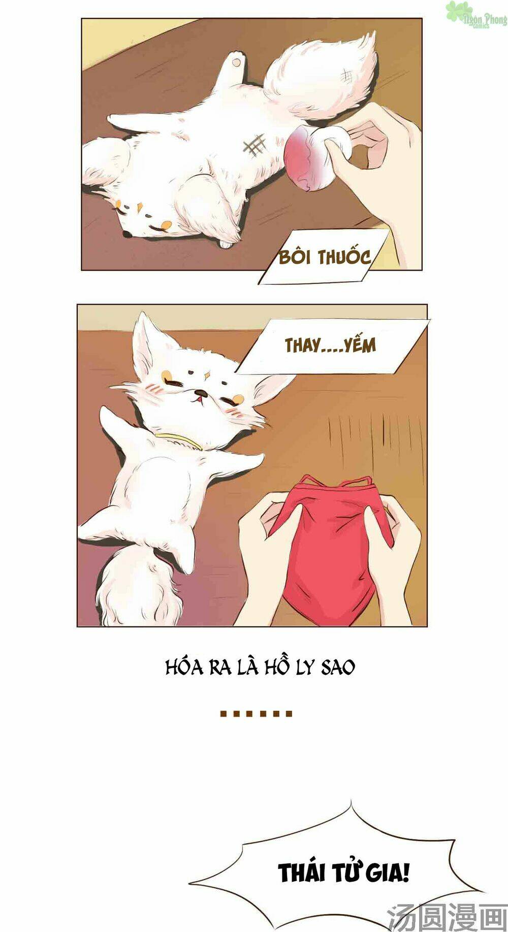 Mẫu Phi Đuôi Của Người Lộ Ra Rồi Kìa: Chapter 4