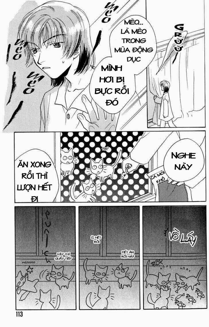 Sukijanai Kedo Aishiteru: Chapter 7