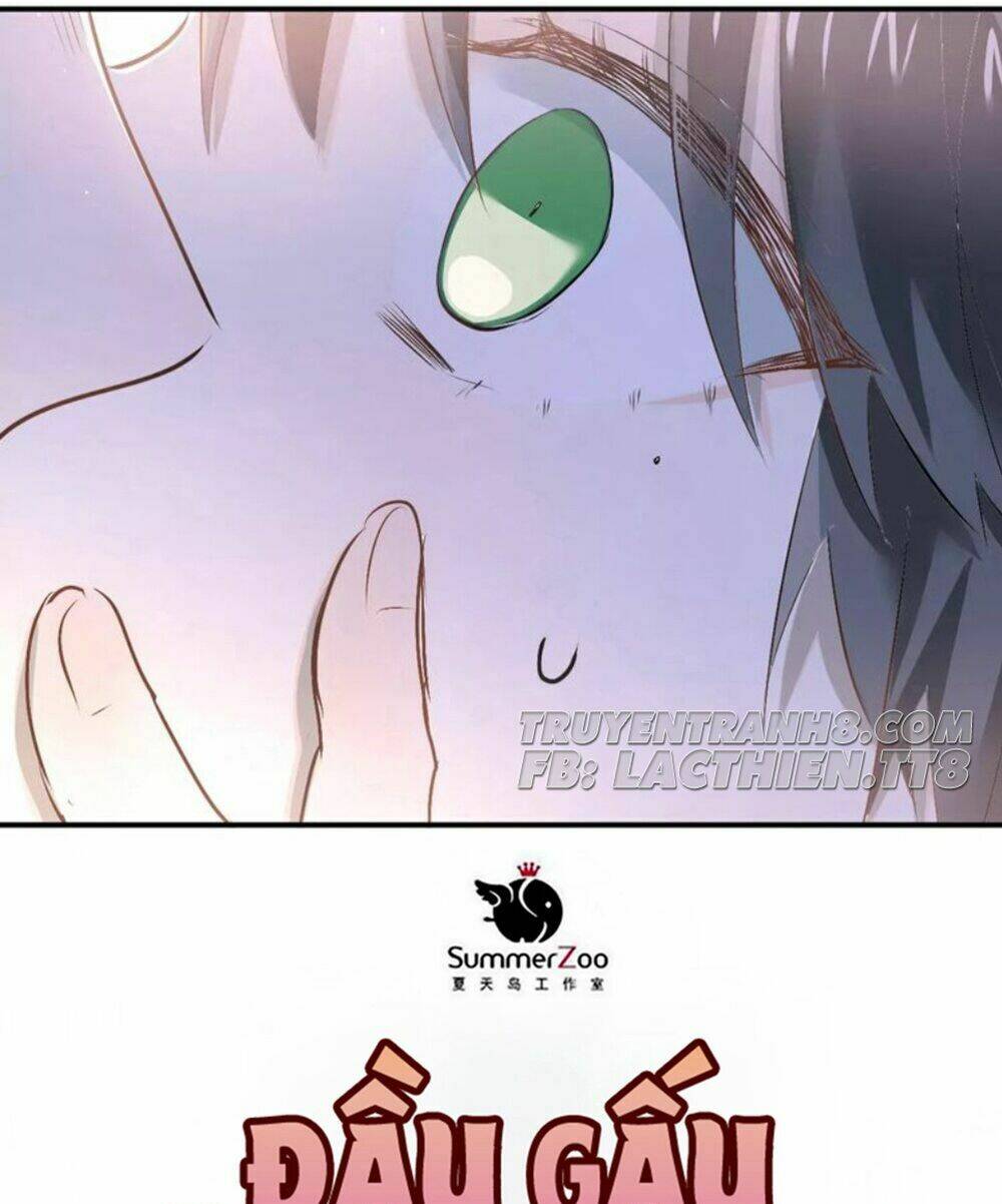 Đầu Gấu Biết Yêu: Chapter 36