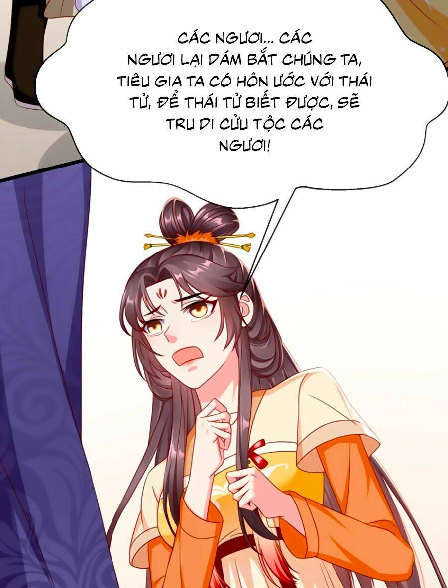 Vương Phi Là Đoá Bạch Liên Hoa: Chapter 19