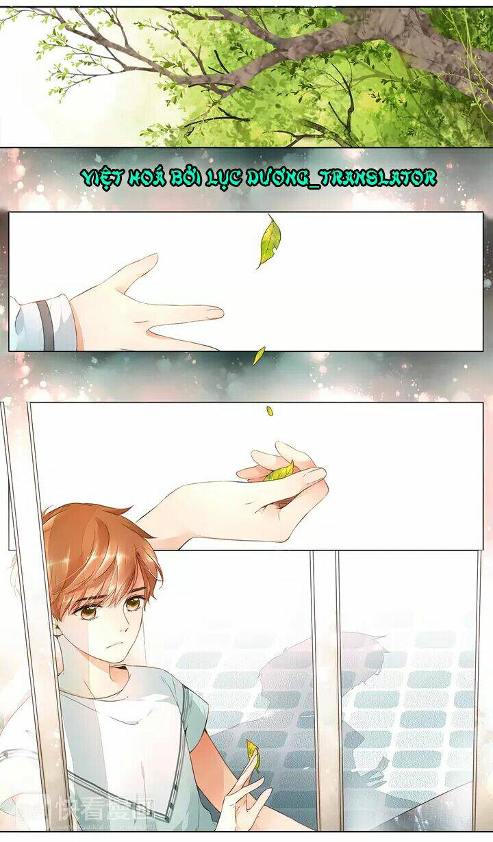 Tình Yêu Là Màu Hoa Anh Thảo: Chapter 15.1