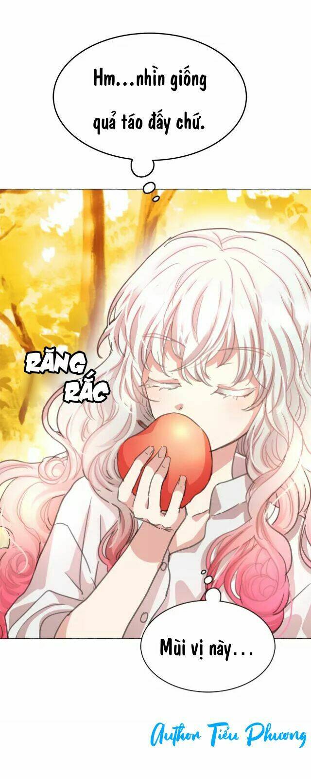 Bí Mật Của Hoàng Phi Isana: Chapter 5