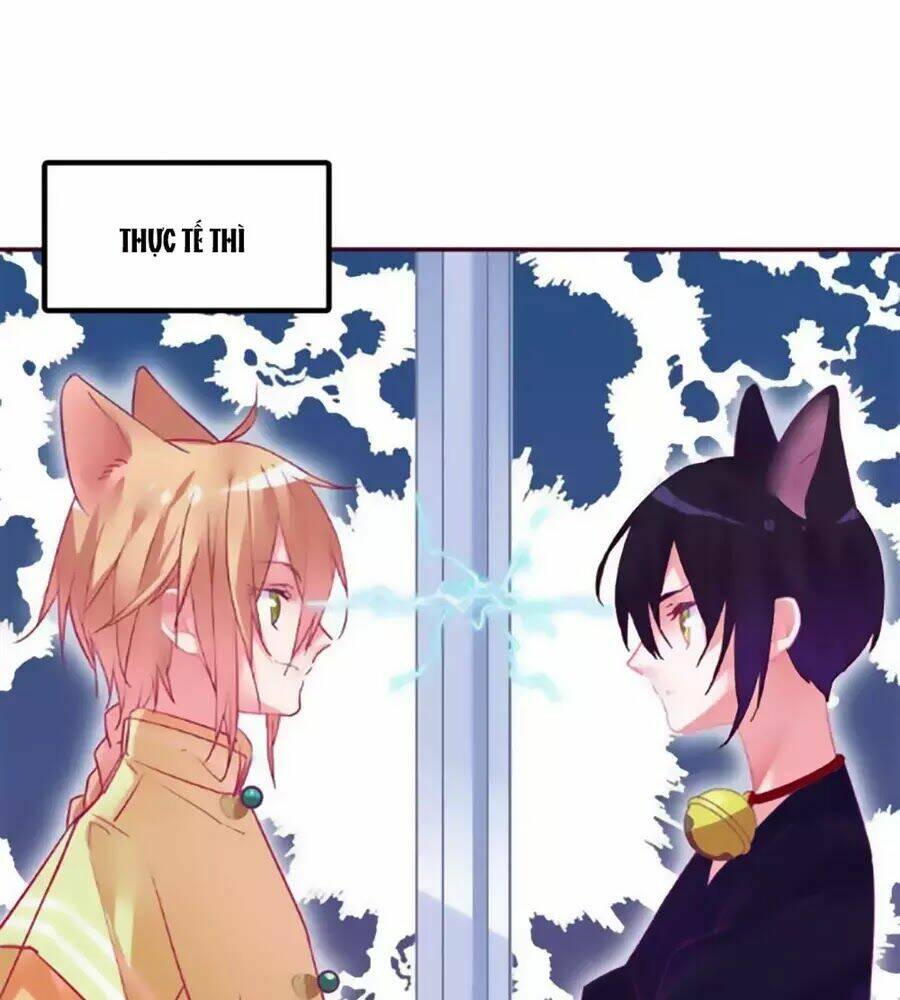 Đừng Nghịch, Ta Chỉ Muốn Yên Tĩnh: Chapter 69