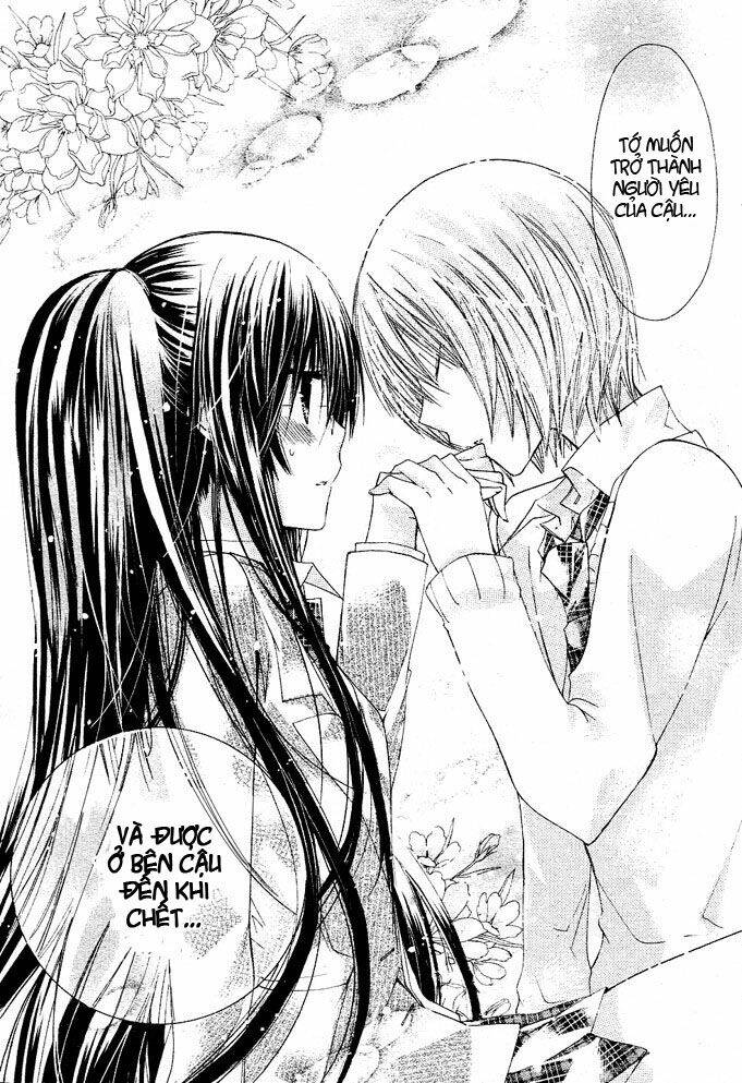 Watashi Ni Xx Shinasai!: Chapter 11