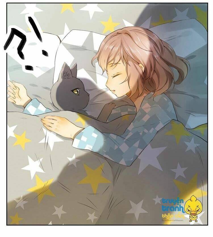 Cứu Mạng! Loài Mèo Thống Trị Thế Giới Rồi!: Chapter 26
