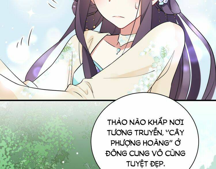 Hoa Nhan Sách: Chapter 5.1