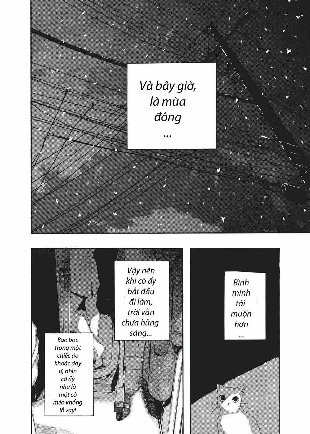Chú Mèo Và Cô Chủ: Chapter 4