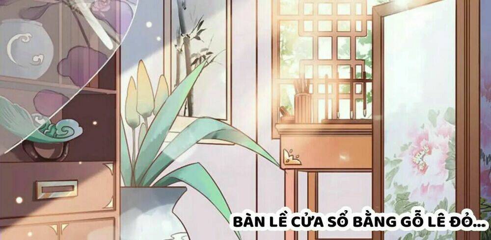 Liêu Cung Phong Hoa: Chapter 4