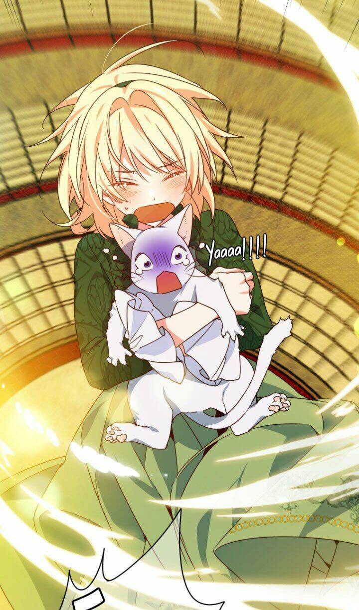 Nàng Elizabeth Thuần Khiết: Chapter 25