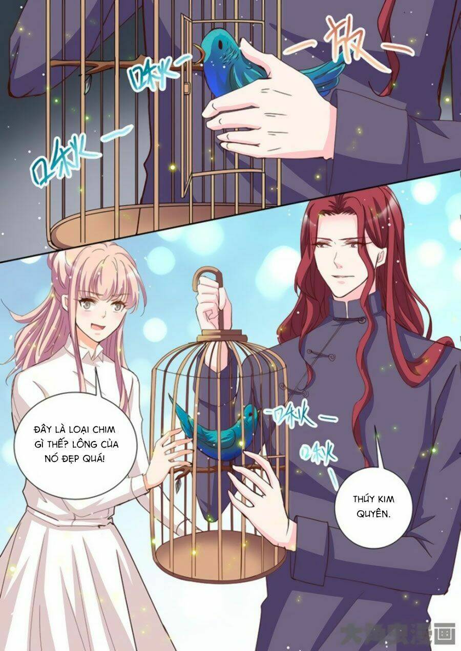 Bá Đạo Tổng Tài Yêu Ta: Chapter 57