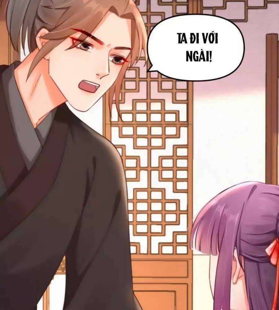 Hoạn Phi Hoàn Triều: Chapter 43