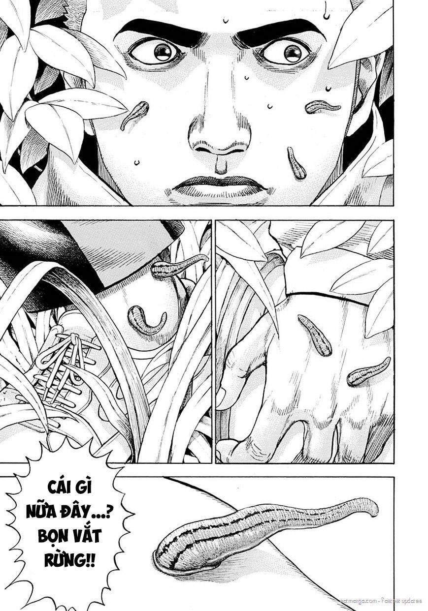 Tough - Miyazawa Kiichi: Chapter 388