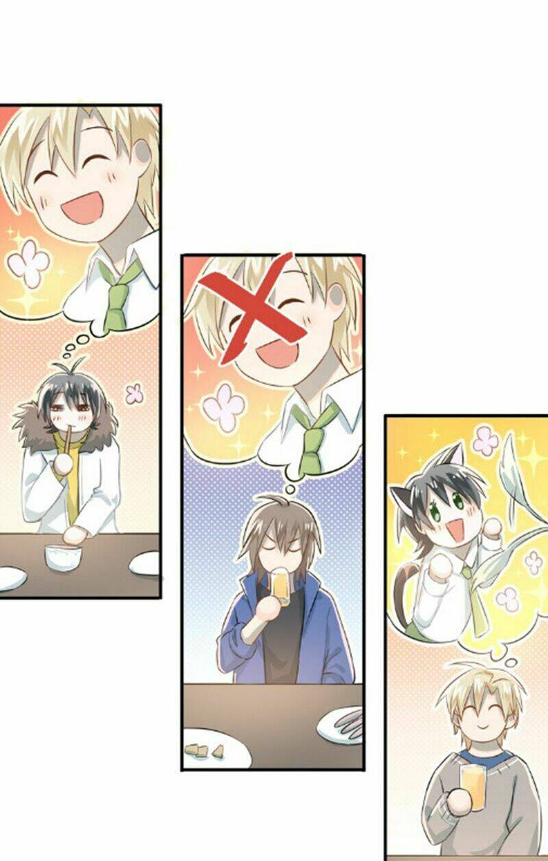 Đầu Gấu Biết Yêu: Chapter 105