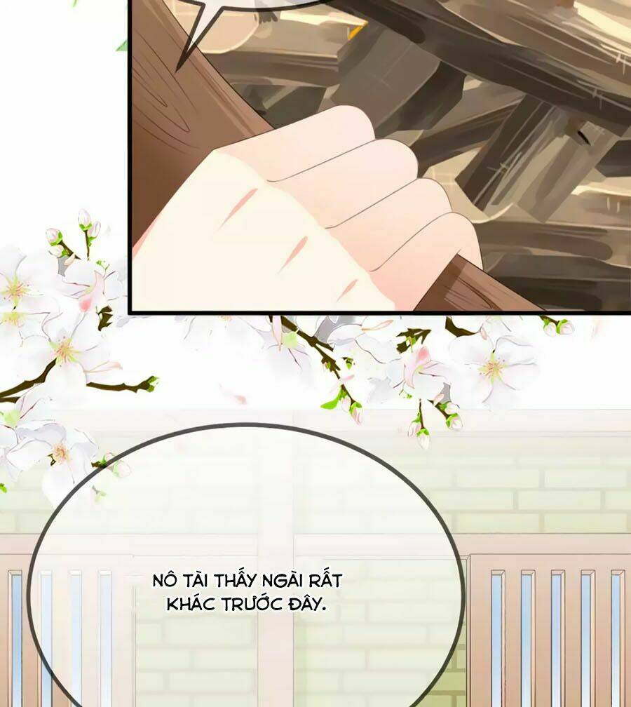 Trù Nương Hoàng Hậu: Chapter 5