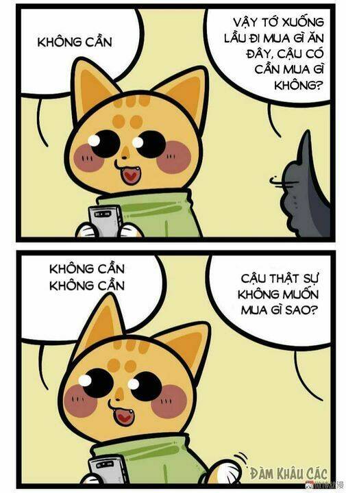 Đời Không Như Mình Tưởng: Chapter 58