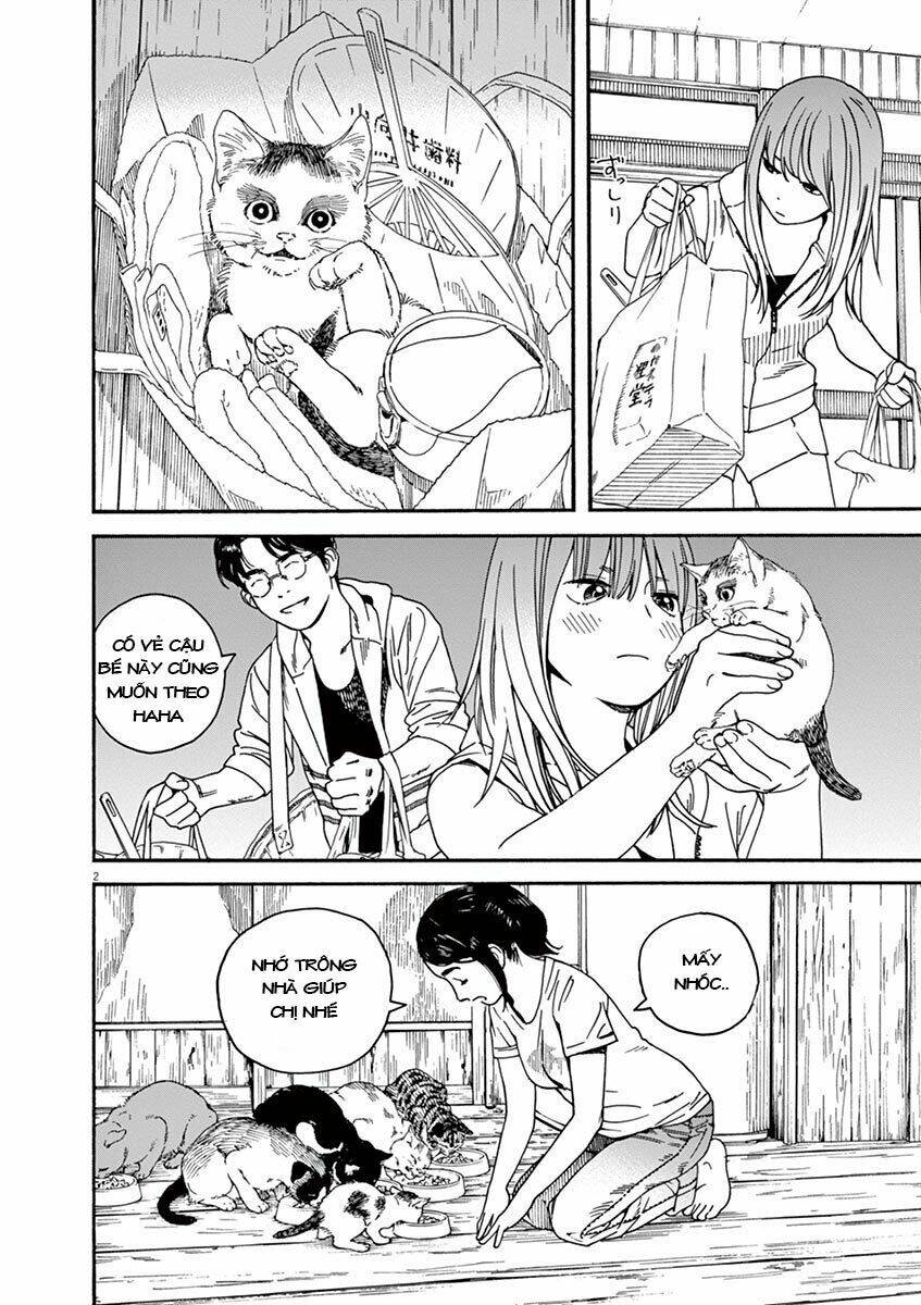 Neko No Otera No Chion-San: Chapter 32