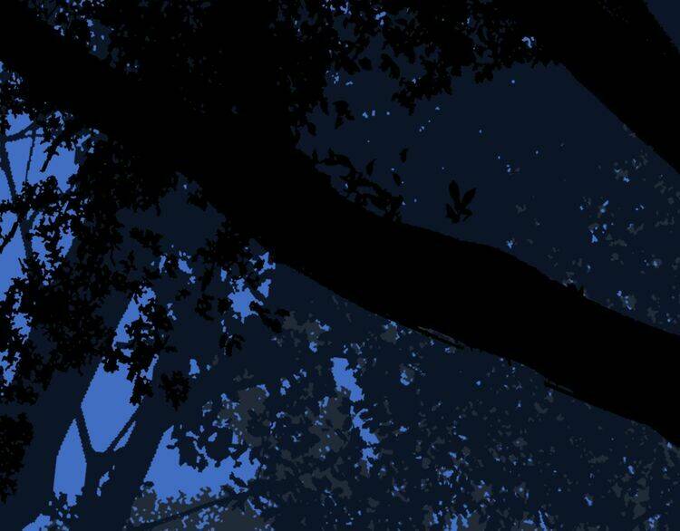 Lượm Được Một Tiểu Hồ Ly 2: Chapter 47