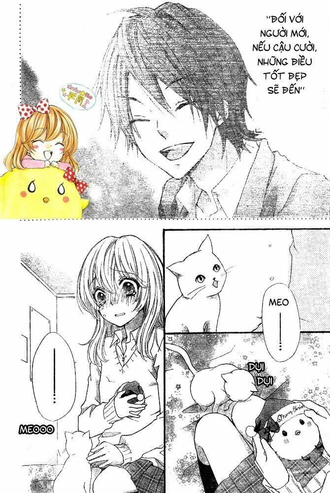 Tình Yêu Của Hiyo: Chapter 8