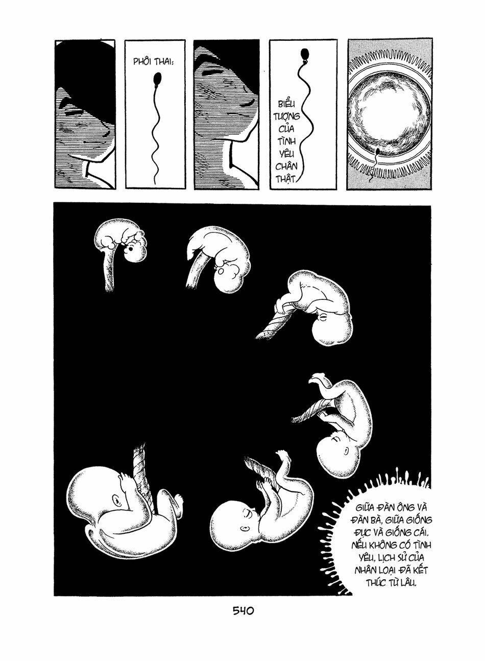 Apollo\’s Song: Chapter 5.4