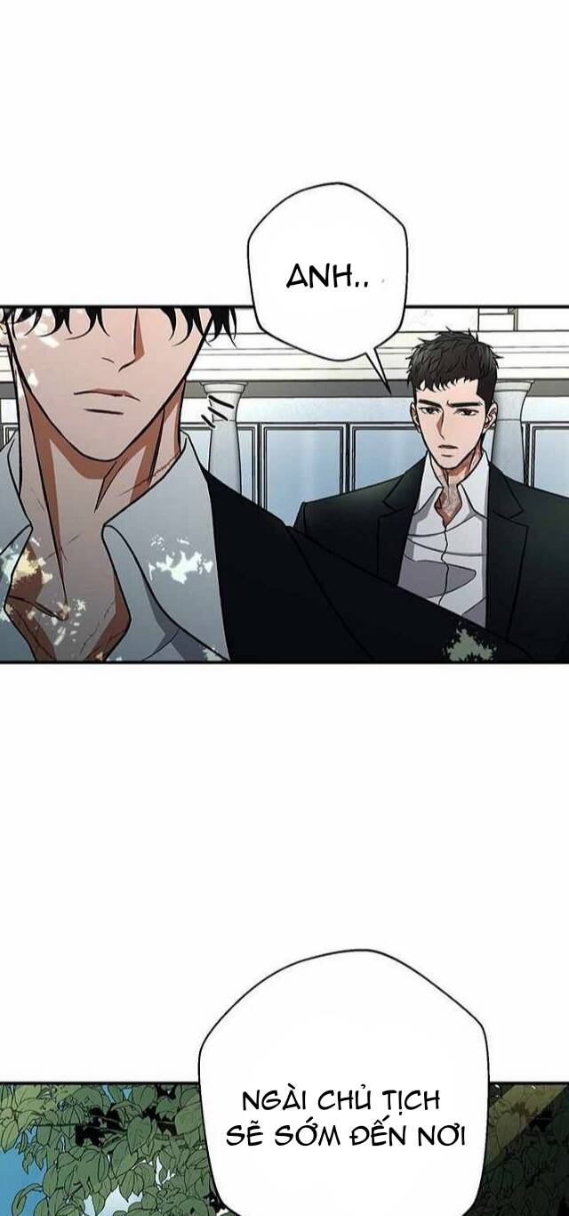 Ước Muốn Của Một Gangster: Chapter 1.1