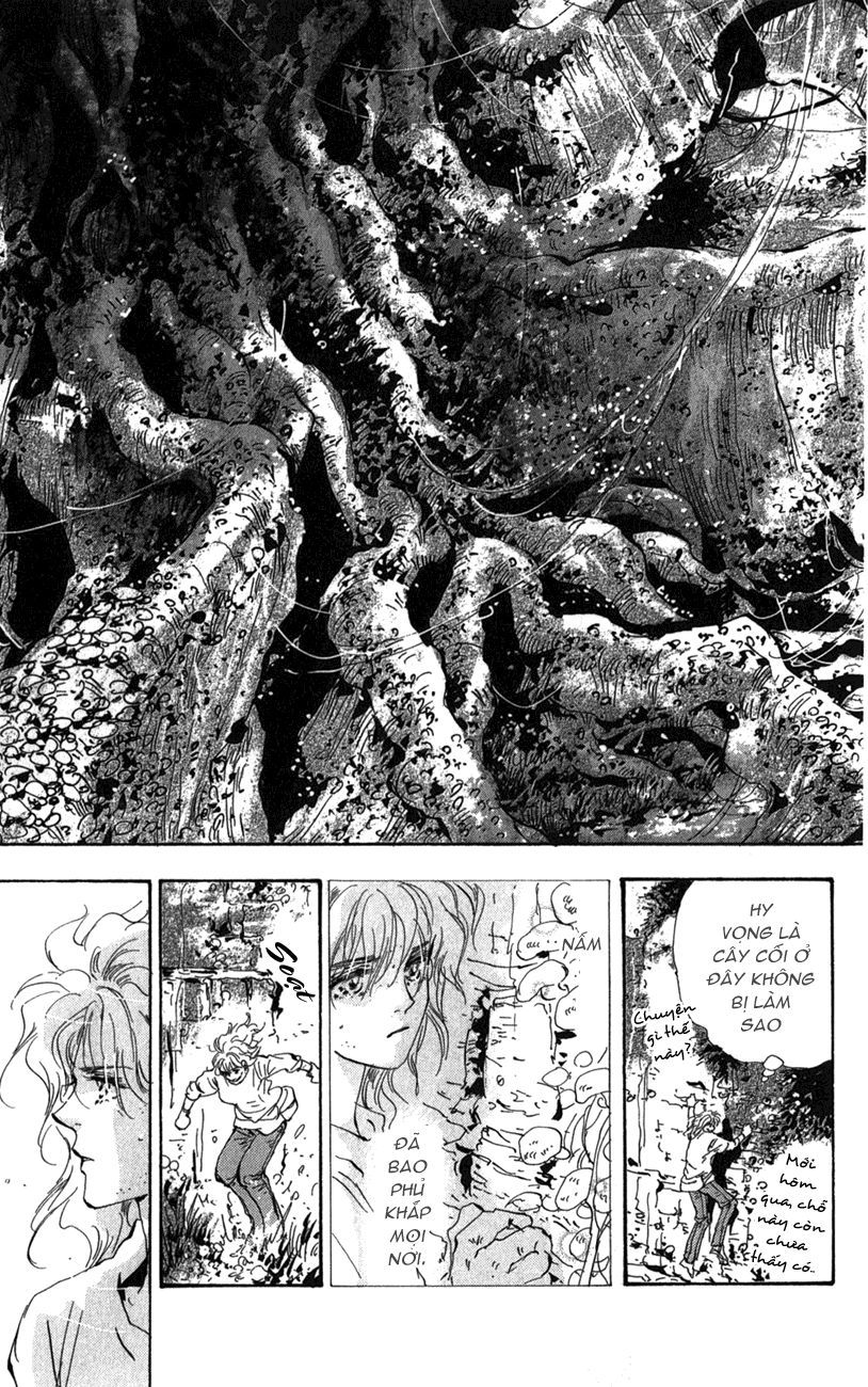 Mầm Sống: Chapter 117