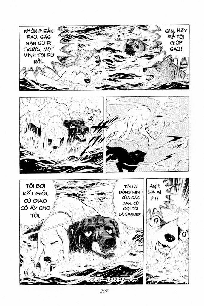 Chú Chó Có Nghĩa - Ginga Nagareboshi Gin: Chapter 30.2