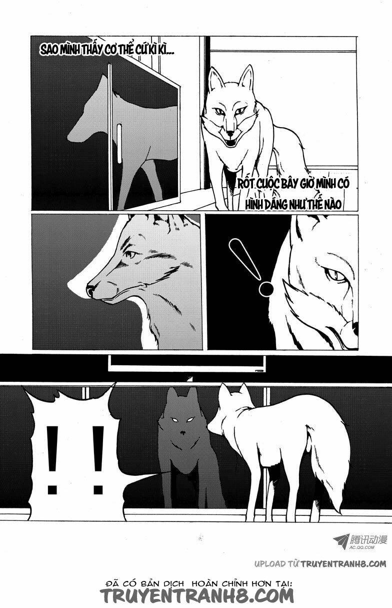 Nhân Quả Tuần Hoàn: Chapter 16.2