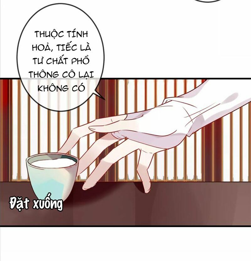 Ngô hoàng tại thượng: Chapter 5
