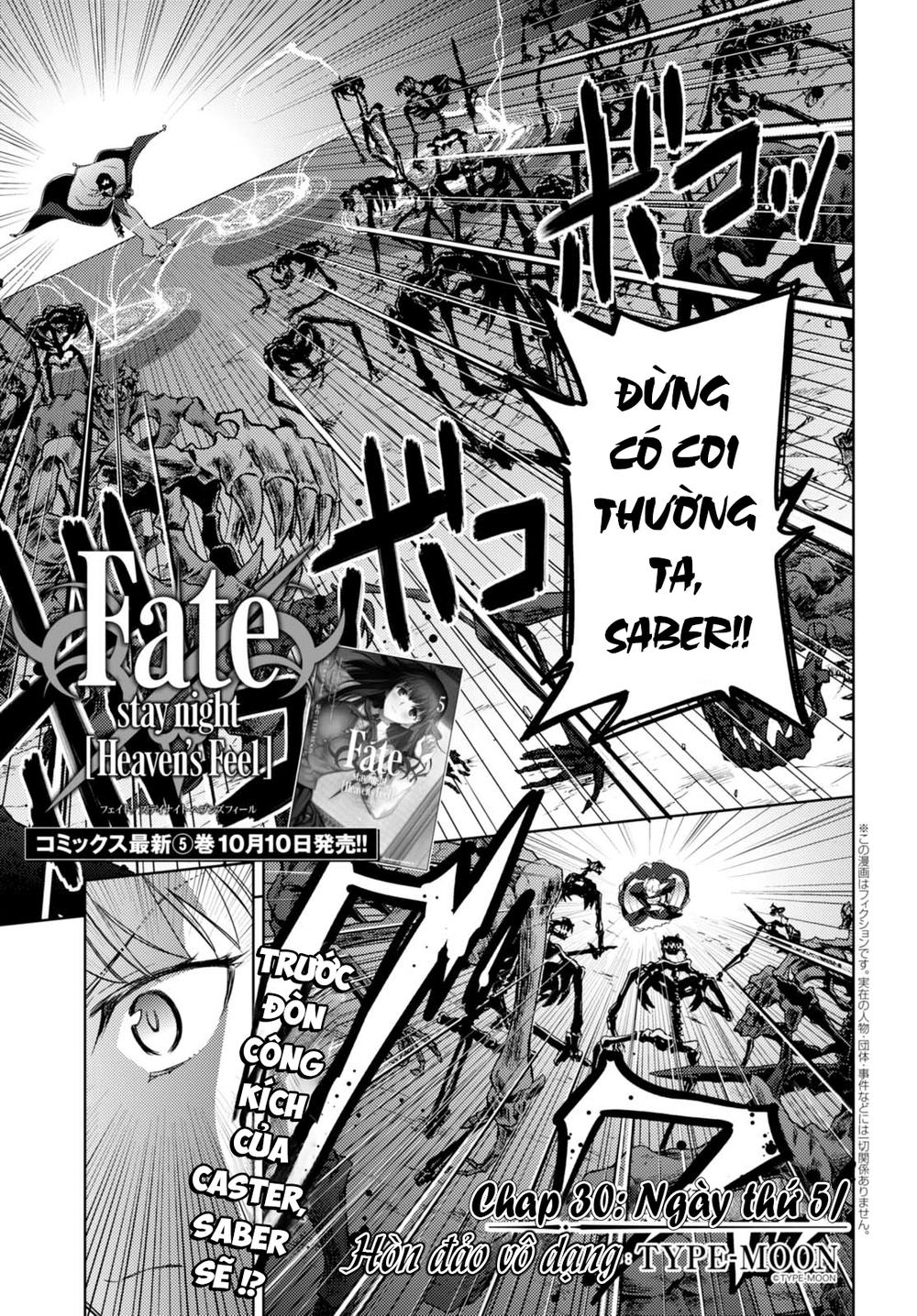 Fate/Stay Night Heaven's Feel: Chapter 30.1