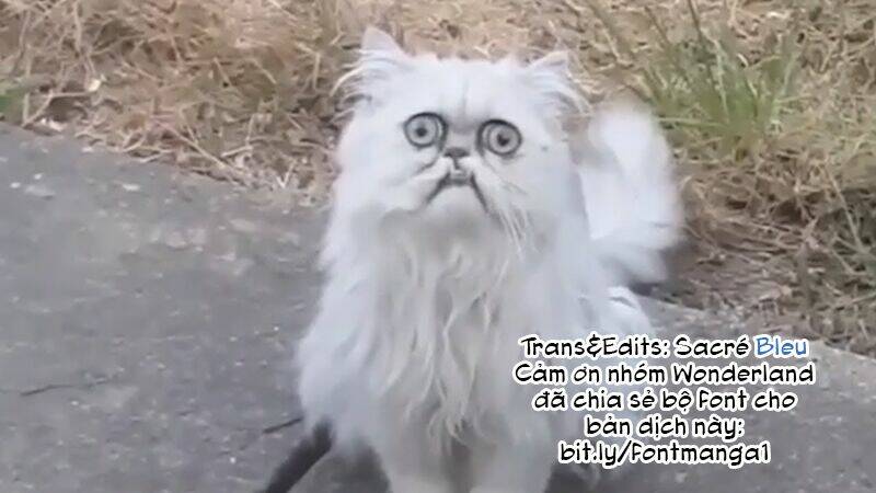 Suicide Parabellum: Chapter 5