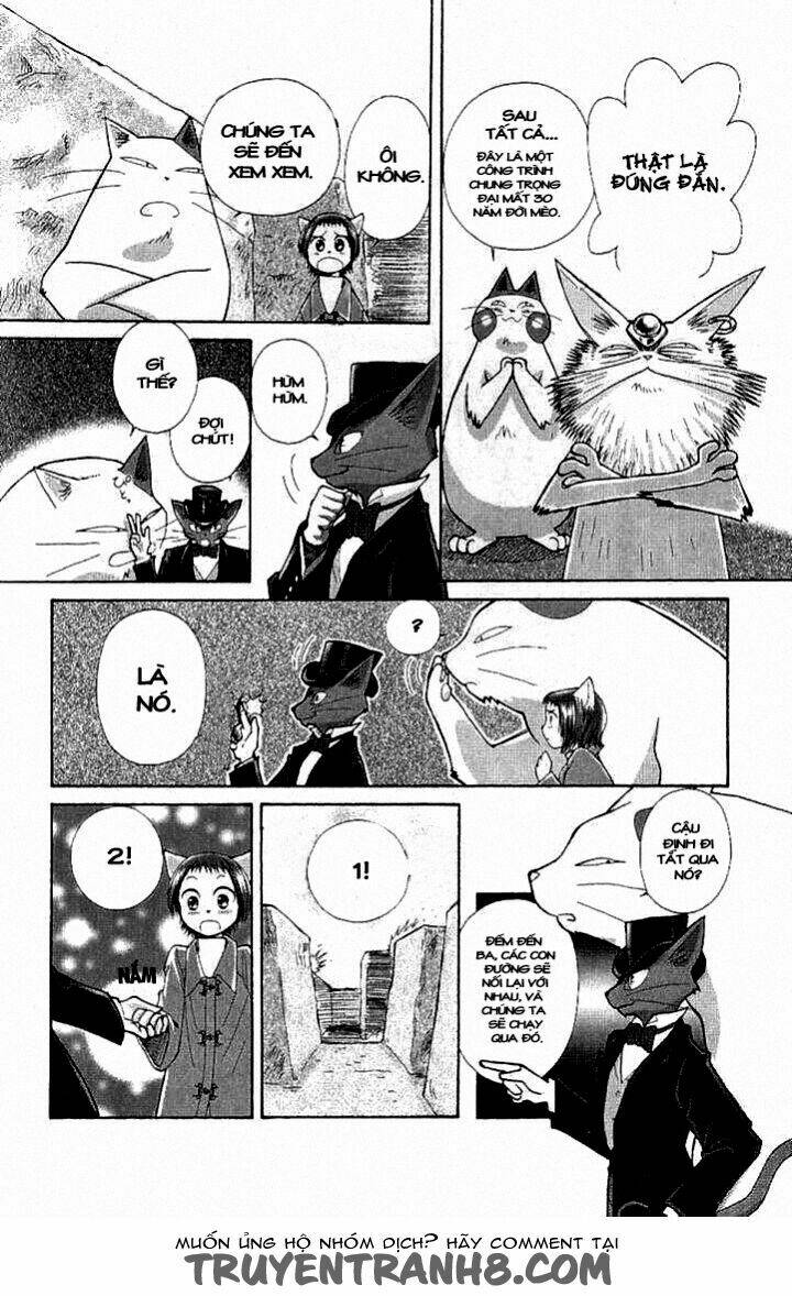 Lời Thì Thầm Từ Trái Tim: Chapter 8