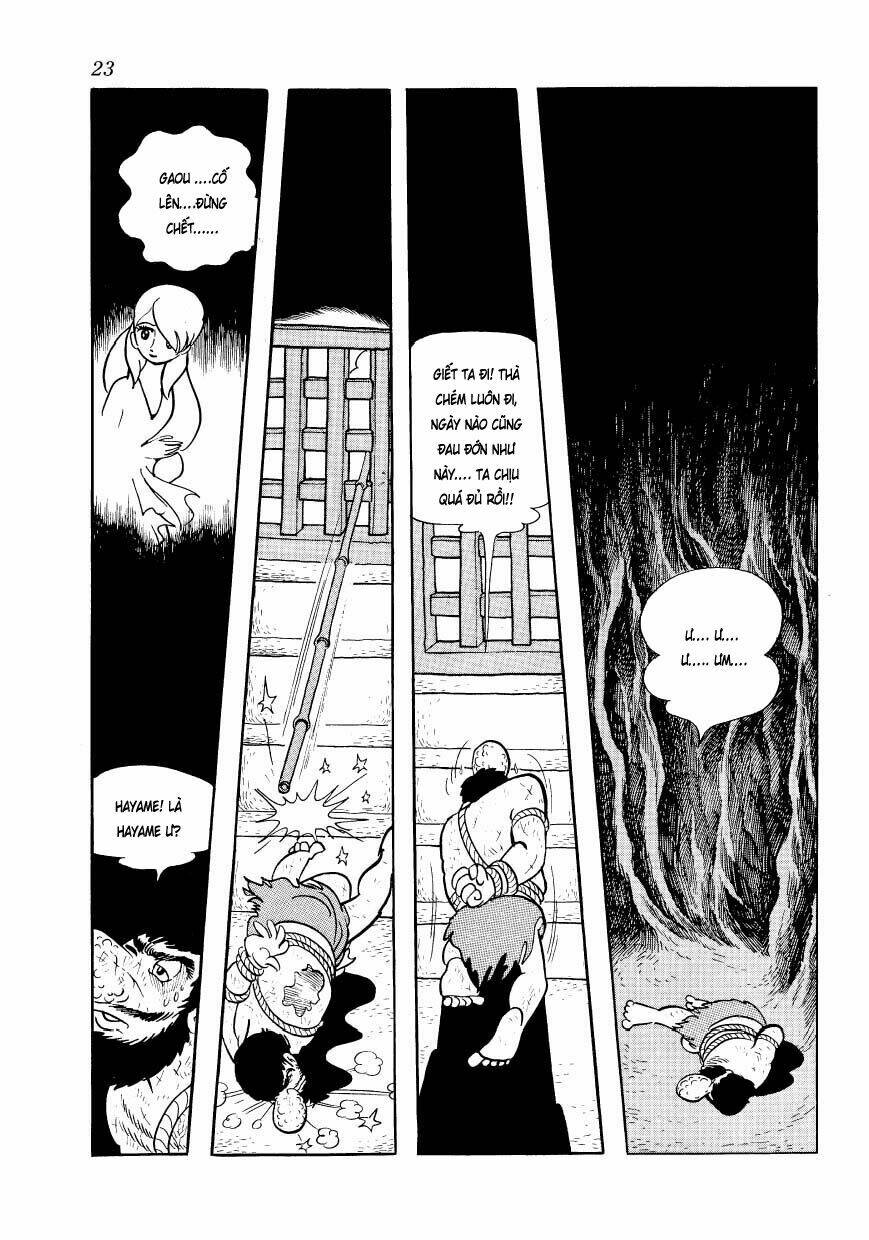 Chim Lửa: Chapter 49