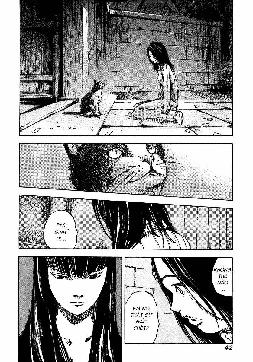 Skyhigh: Shinshou: Chapter 5.2
