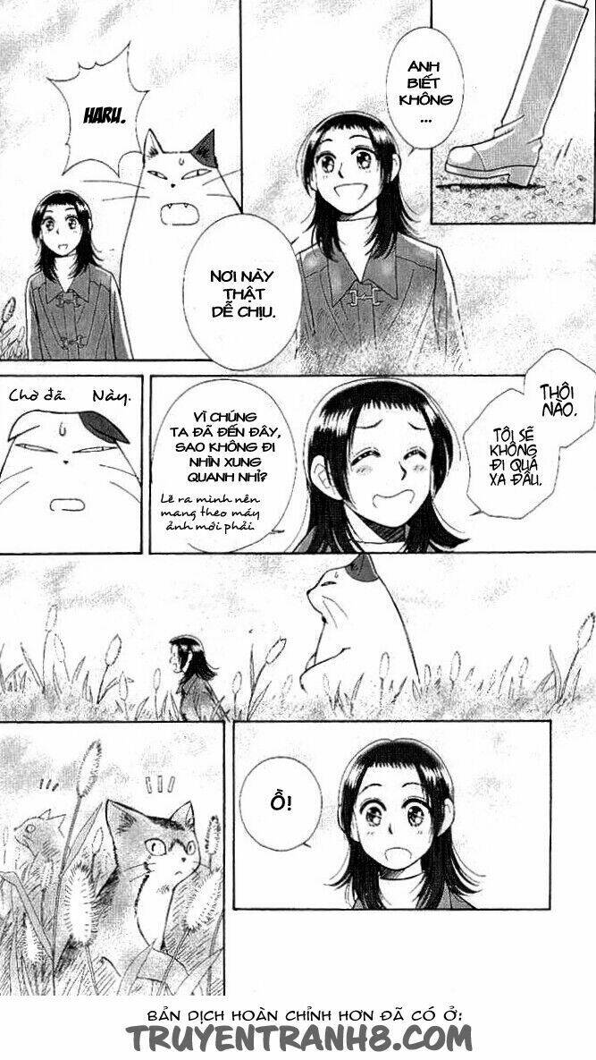 Lời Thì Thầm Từ Trái Tim: Chapter 8