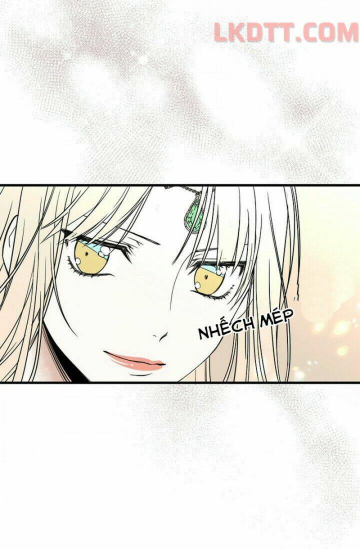 Mylord, Nữ Hoàng Của Loài Sói!: Chapter 4