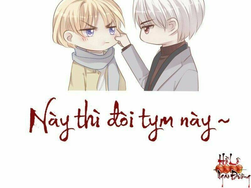 Điều Giáo Gấu Bắc Cực: Chapter 41
