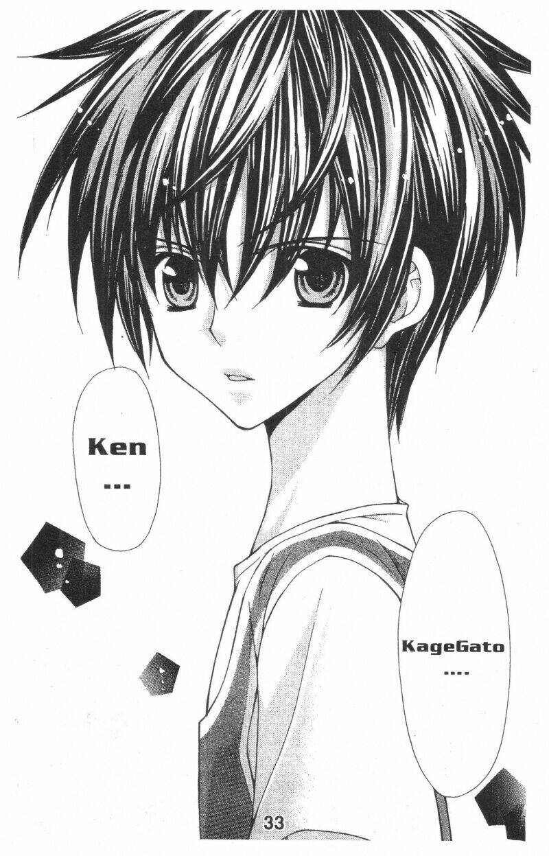 Trái Tim Kim Cương: Chapter 1